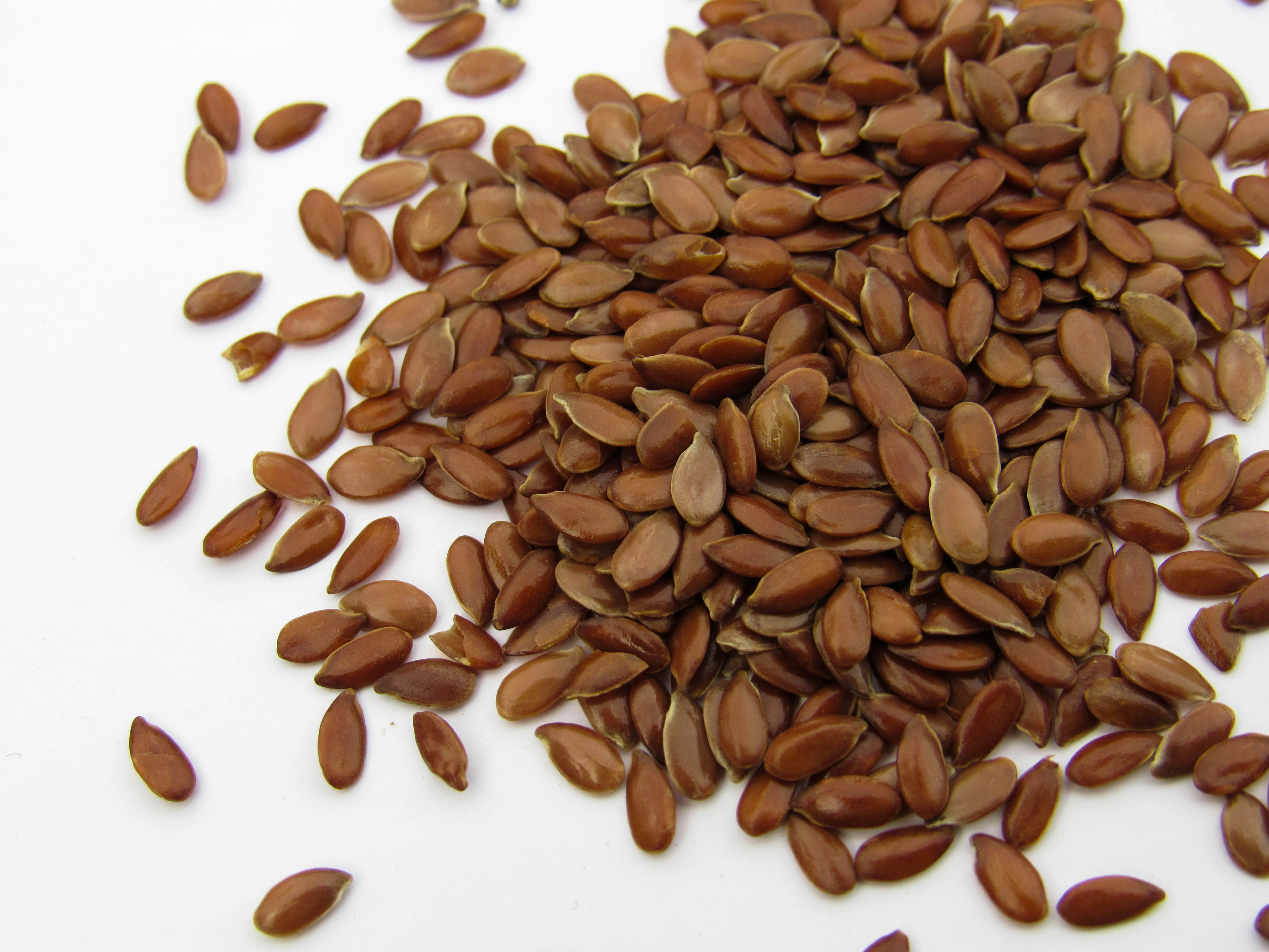 FLAXSEED / LINSEED