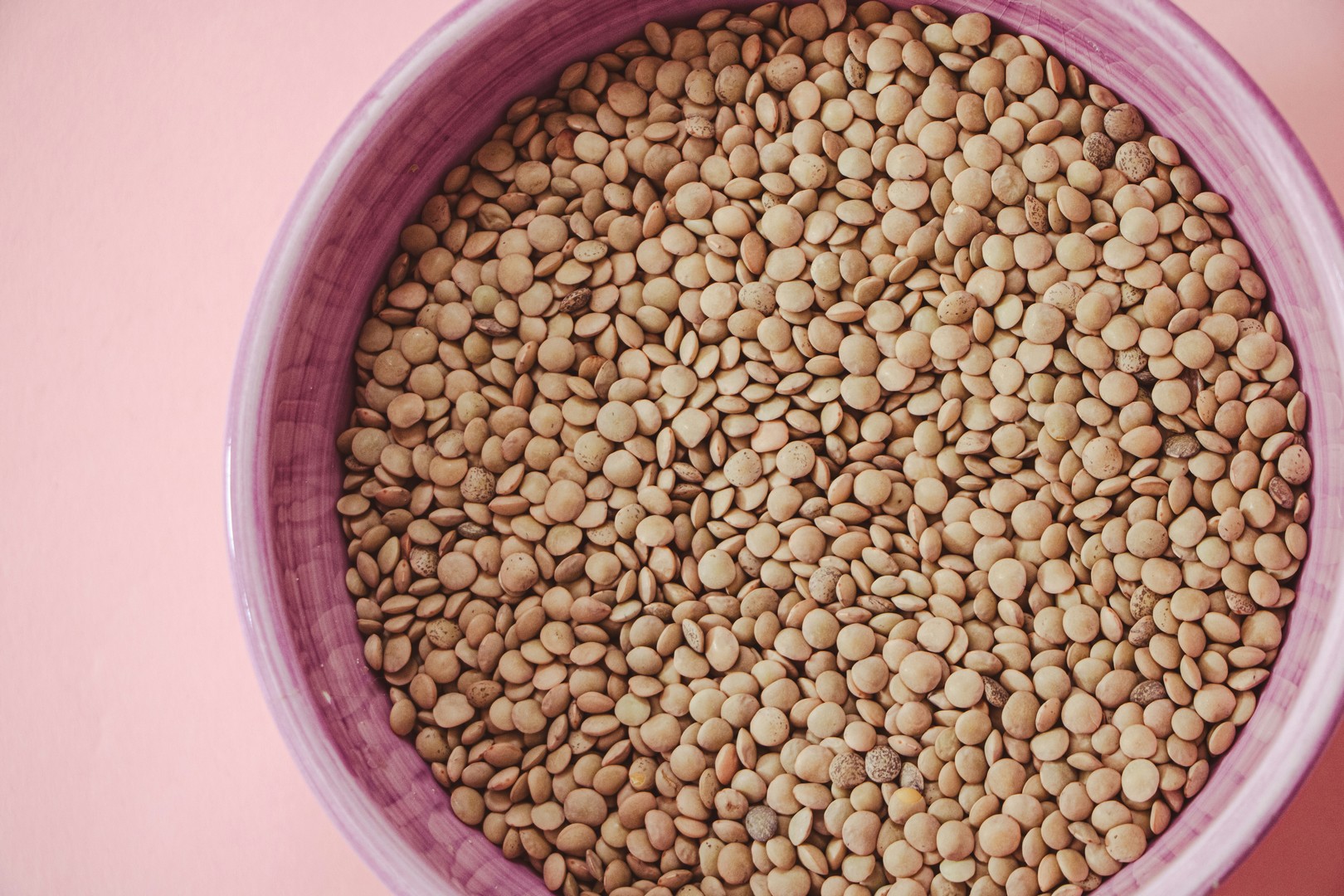 LENTILS
