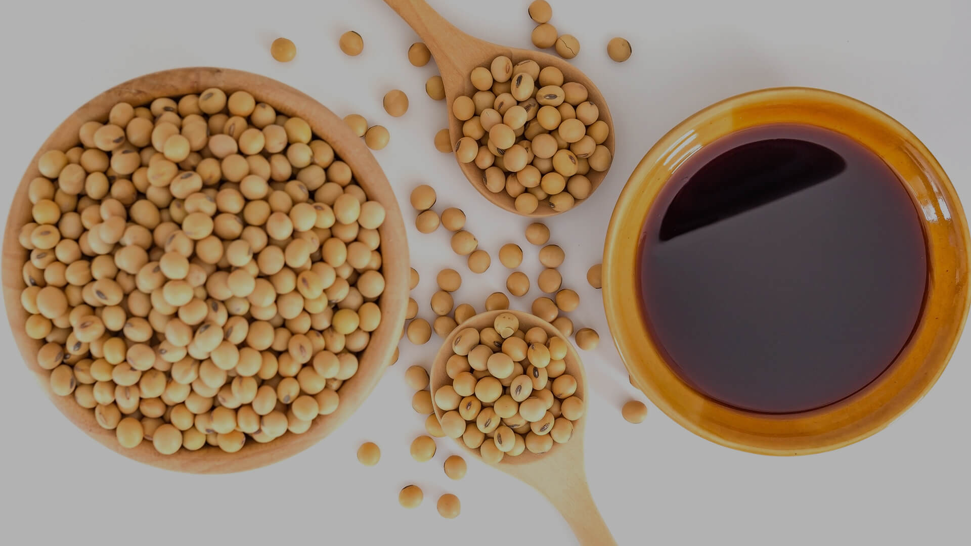 SOYBEANS